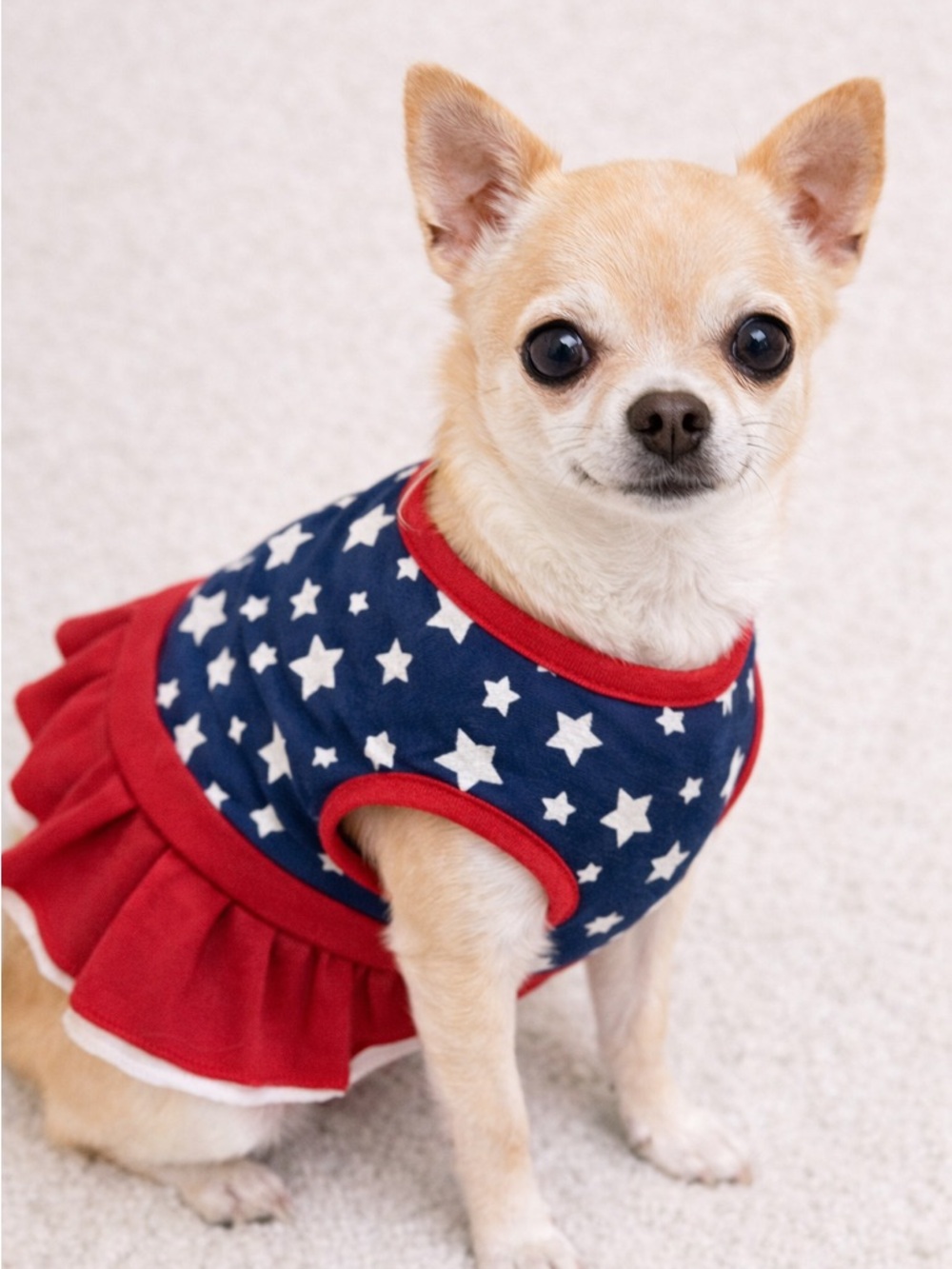 Ellen Degeneres Navy Star & Red Trim Small Dog Dress